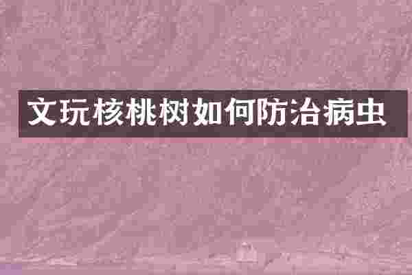 文玩核桃树如何防治病虫