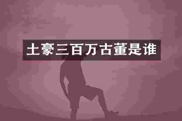 土豪三百万古董是谁