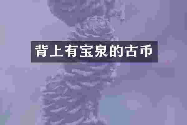 背上有宝泉的古币