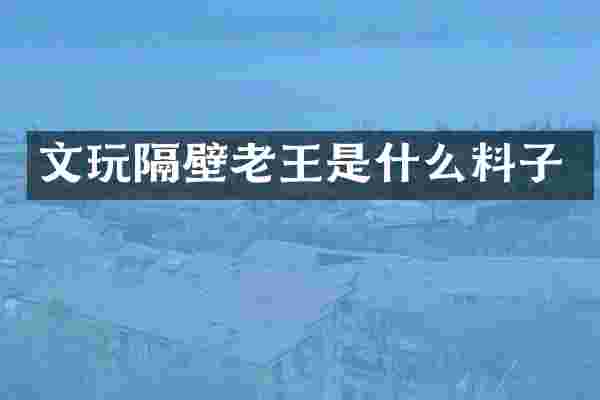 文玩隔壁老王是什么料子