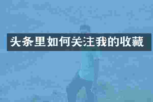 头条里如何关注我的收藏