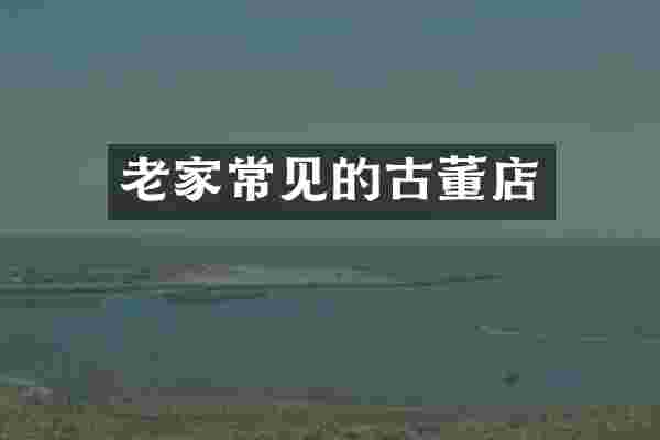 老家常见的古董店