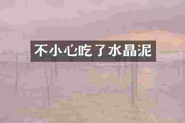 不小心吃了水晶泥