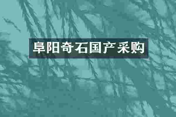 阜阳奇石国产采购