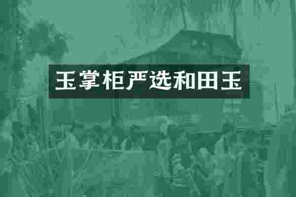 玉掌柜严选和田玉
