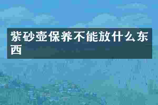 紫砂壶保养不能放什么东西