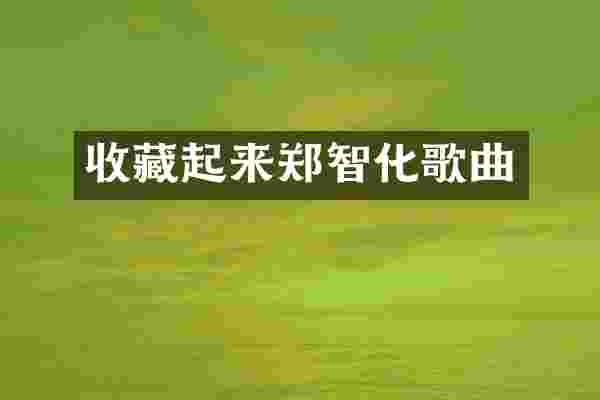 收藏起来郑智化歌曲
