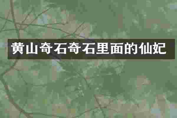 黄山奇石奇石里面的仙妃