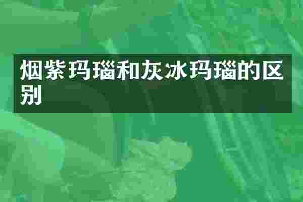 烟紫玛瑙和灰冰玛瑙的区别