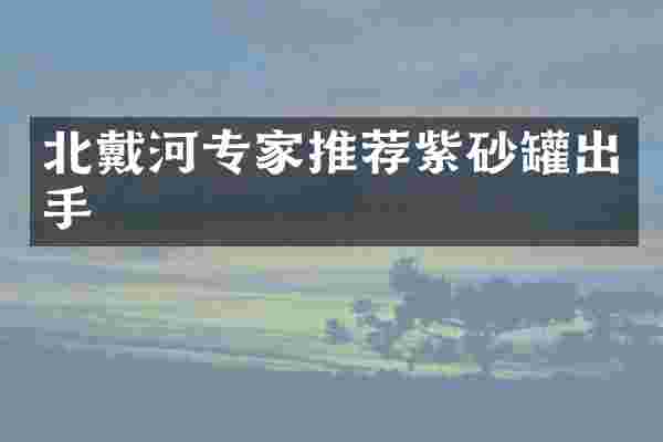 北戴河专家推荐紫砂罐出手