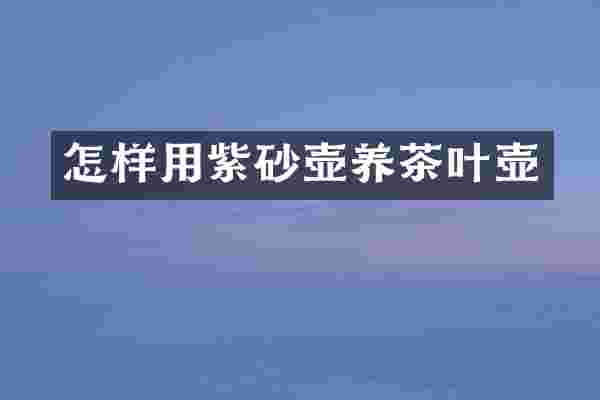 怎样用紫砂壶养茶叶壶