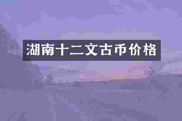 湖南十二文古币价格