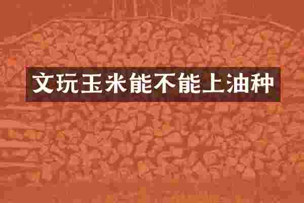 文玩玉米能不能上油种