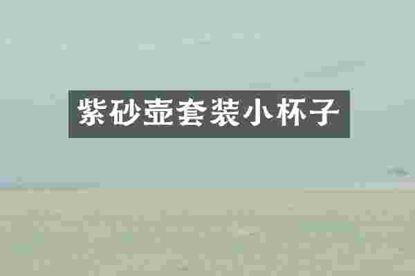 紫砂壶套装小杯子