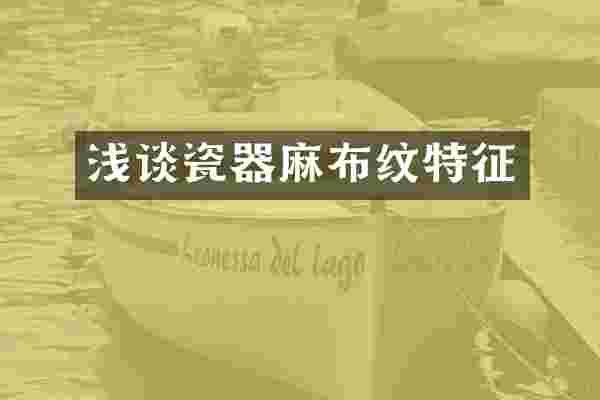 浅谈瓷器麻布纹特征