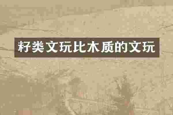 籽类文玩比木质的文玩