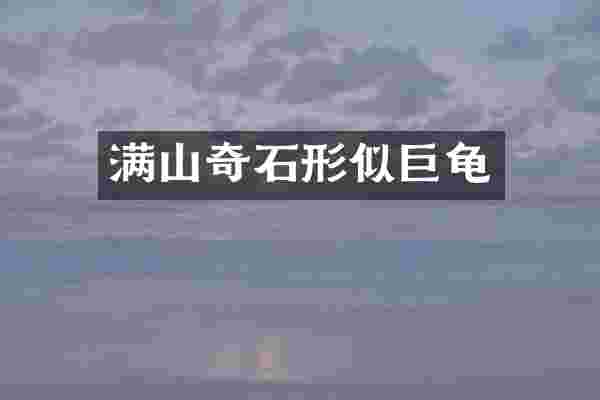 满山奇石形似巨龟