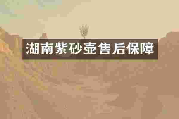 湖南紫砂壶售后保障