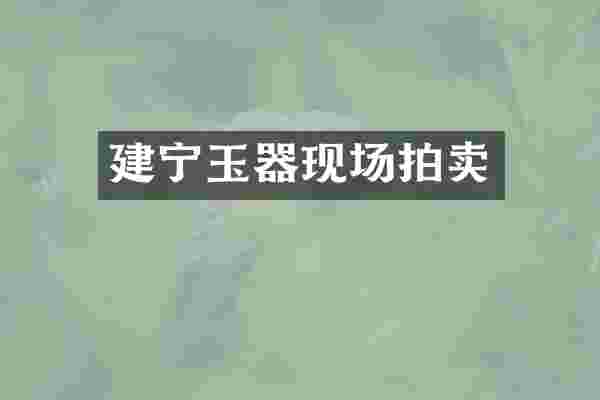 建宁玉器现场拍卖