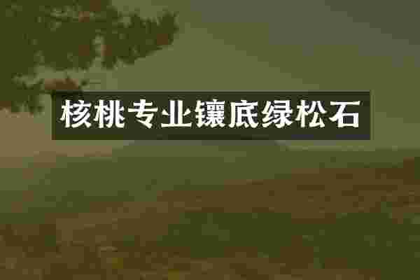 核桃专业镶底绿松石