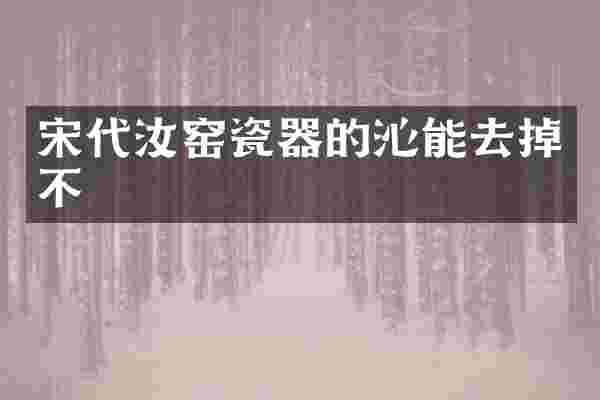 宋代汝窑瓷器的沁能去掉不
