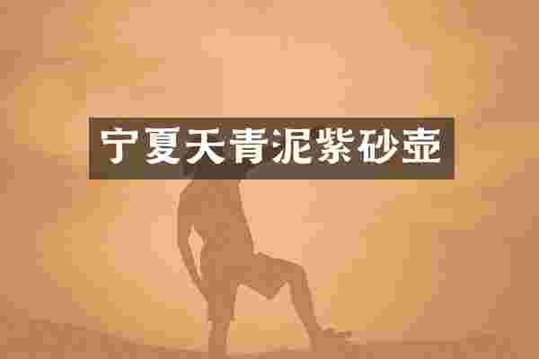 宁夏天青泥紫砂壶