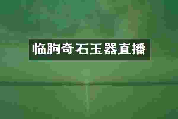 临朐奇石玉器直播