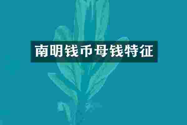 南明钱币母钱特征