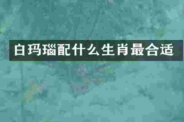 白玛瑙生肖最合适