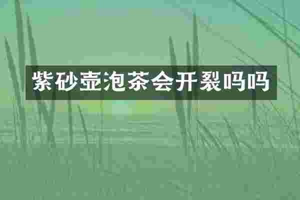 紫砂壶泡茶会开裂吗吗