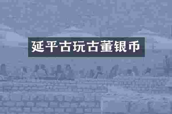 延平古玩古董银币
