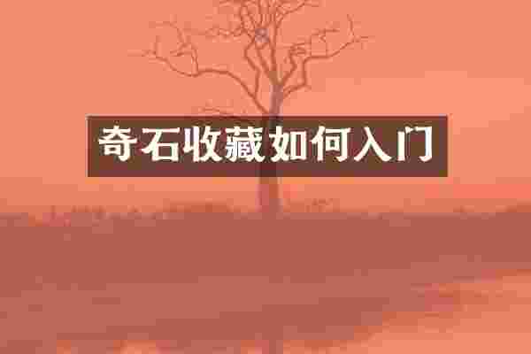 奇石收藏如何入门