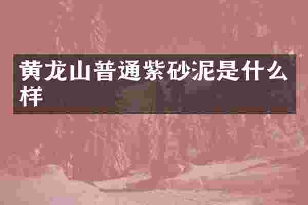 黄龙山普通紫砂泥是什么样