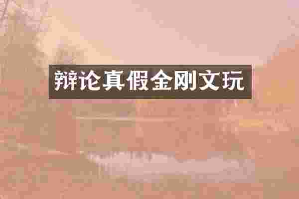 辩论真假金刚文玩