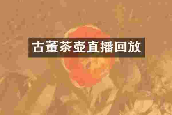 古董茶壶直播回放