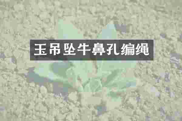 玉吊坠牛鼻孔编绳