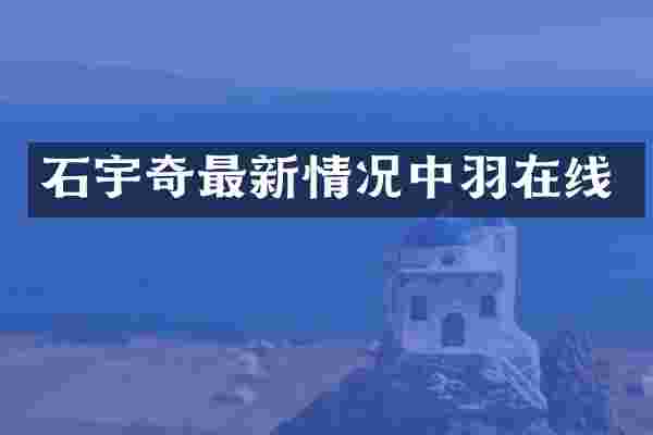 石宇奇最新情况中羽在线