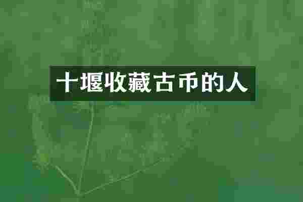 十堰收藏古币的人