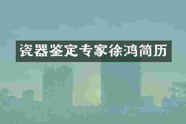 瓷器鉴定专家徐鸿简历