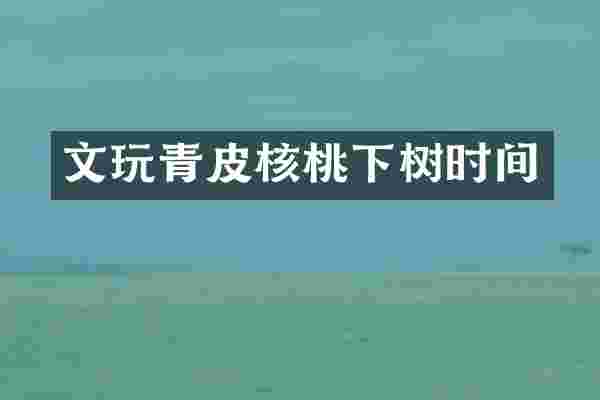 文玩青皮核桃下树时间