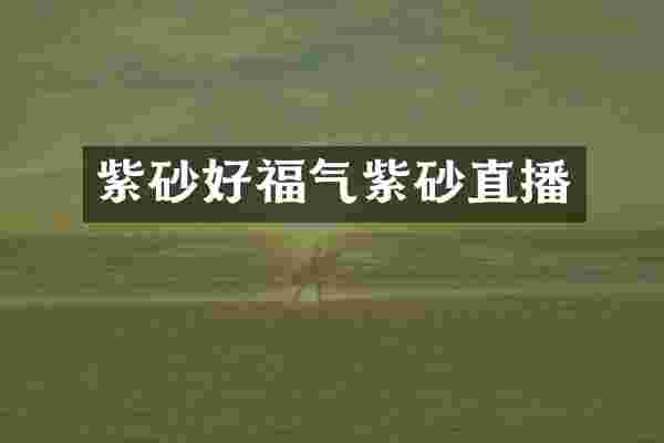 紫砂好福气紫砂直播