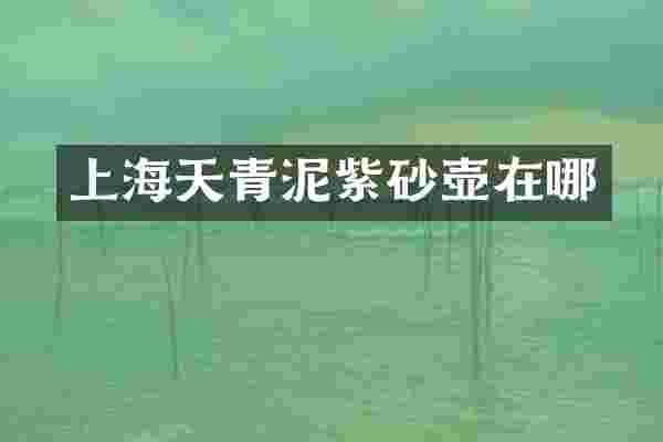 上海天青泥紫砂壶在哪