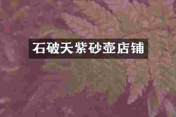 石破天紫砂壶店铺