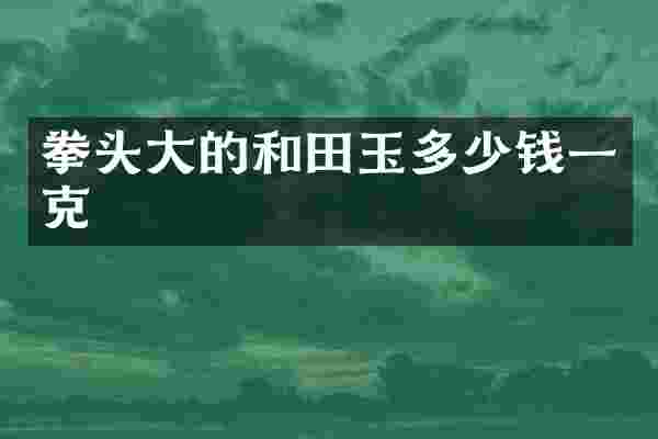 拳头大的和田玉多少钱一克