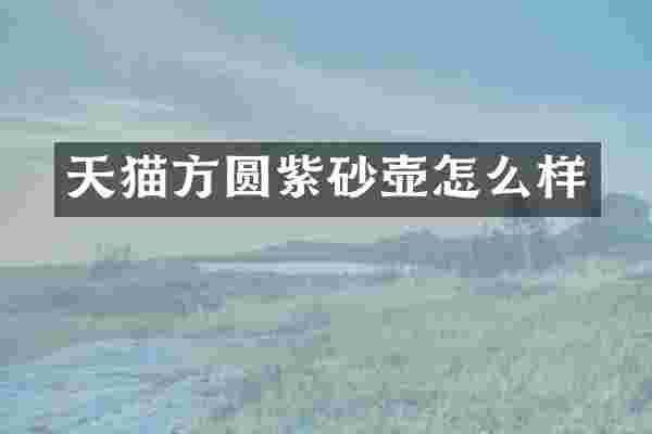 天猫方圆紫砂壶怎么样