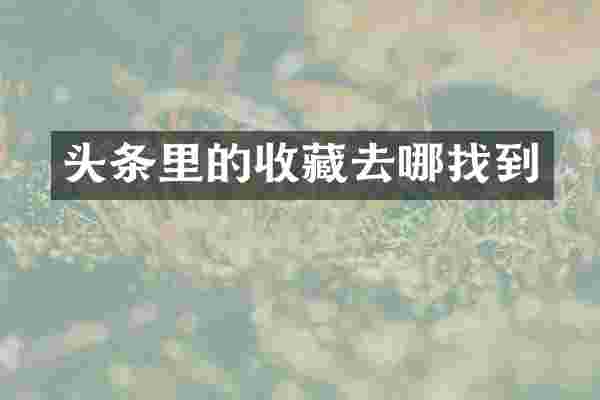 头条里的收藏去哪找到