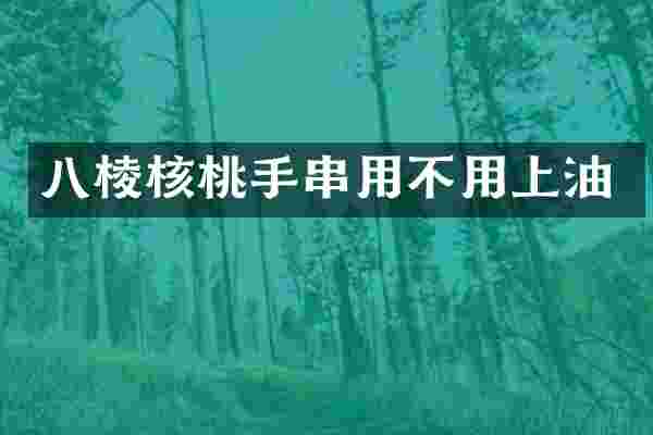 八棱核桃手串用不用上油