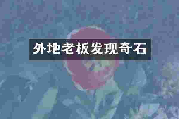 外地老板发现奇石