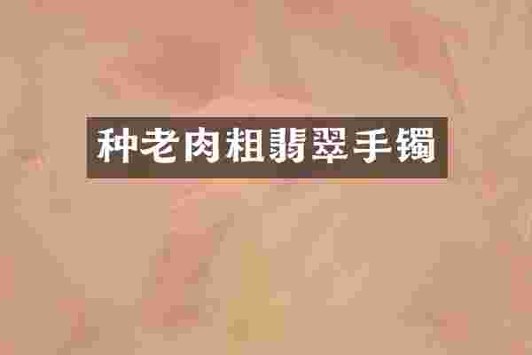 种老肉粗翡翠手镯