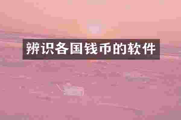 辨识各国钱币的软件